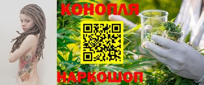 гидра Краснокаменск