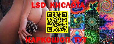 молекула духа Краснознаменск