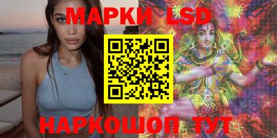 стаф Краснодар