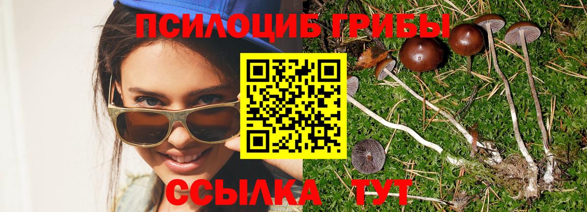 Ковров  Псилоцибиновые грибы MAGIC MUSHROOMS  Вход с VPN  Псилоцибиновые грибы мухоморы 