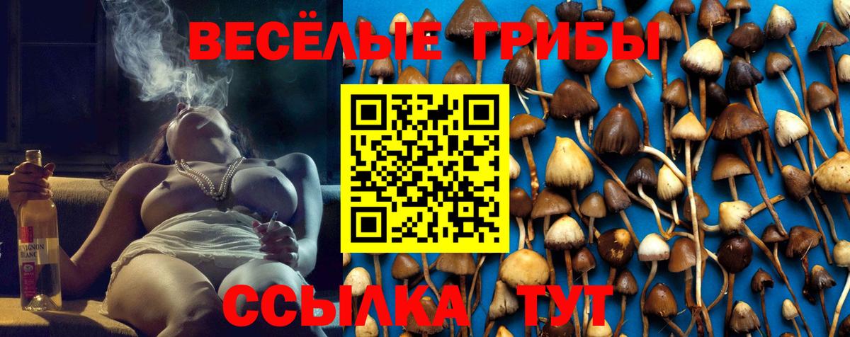 Псилоцибиновые грибы мухоморы Ковров